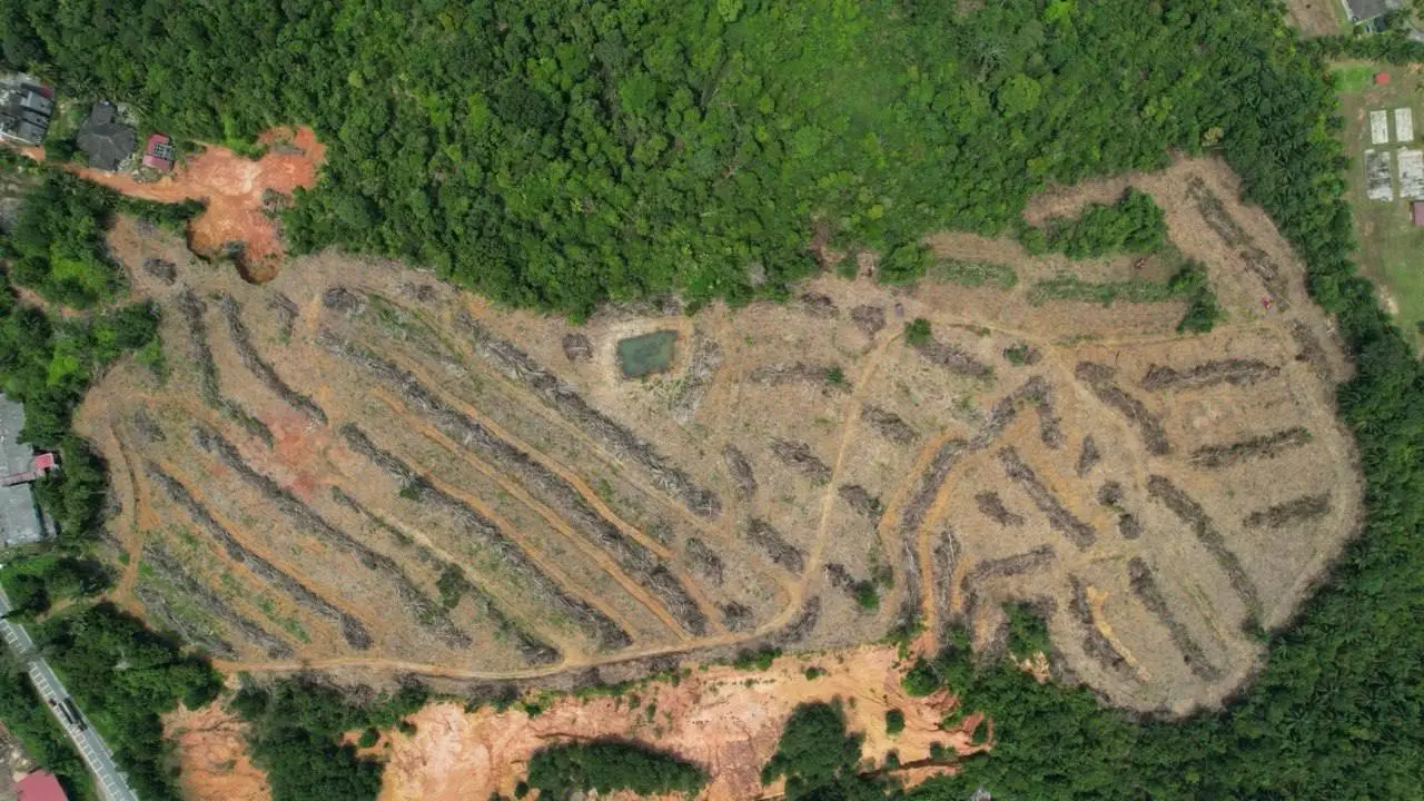 Bukit Diman 2 project view